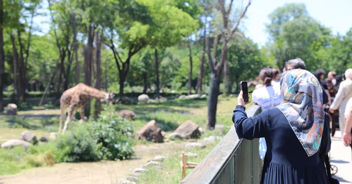 Bursa Hayvanat Bahçesi'ne bayramda ziyaretçi akını