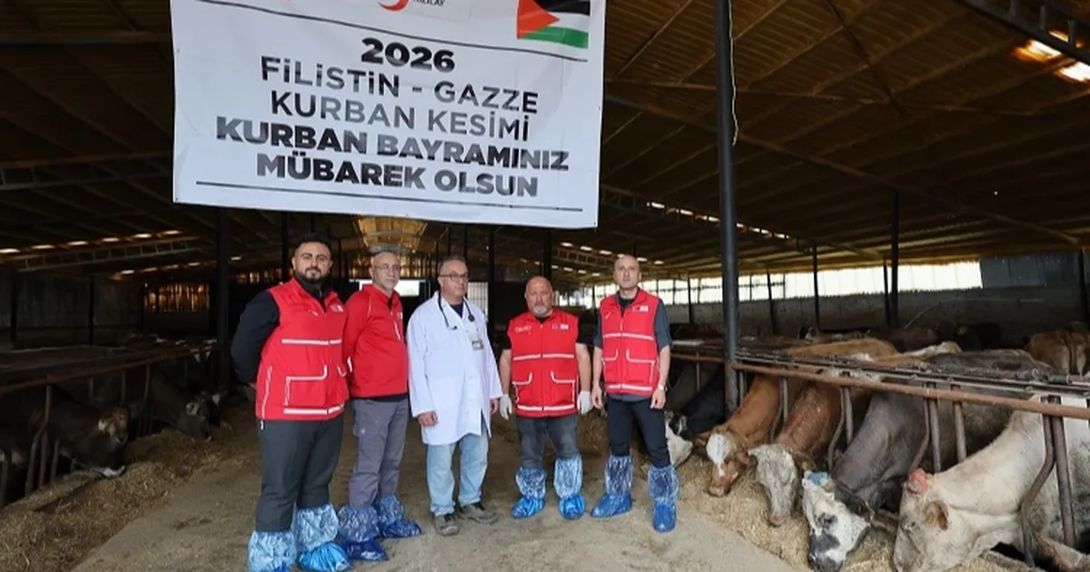 Türk Kızılayı'ndan vekaletle kurban kesimi