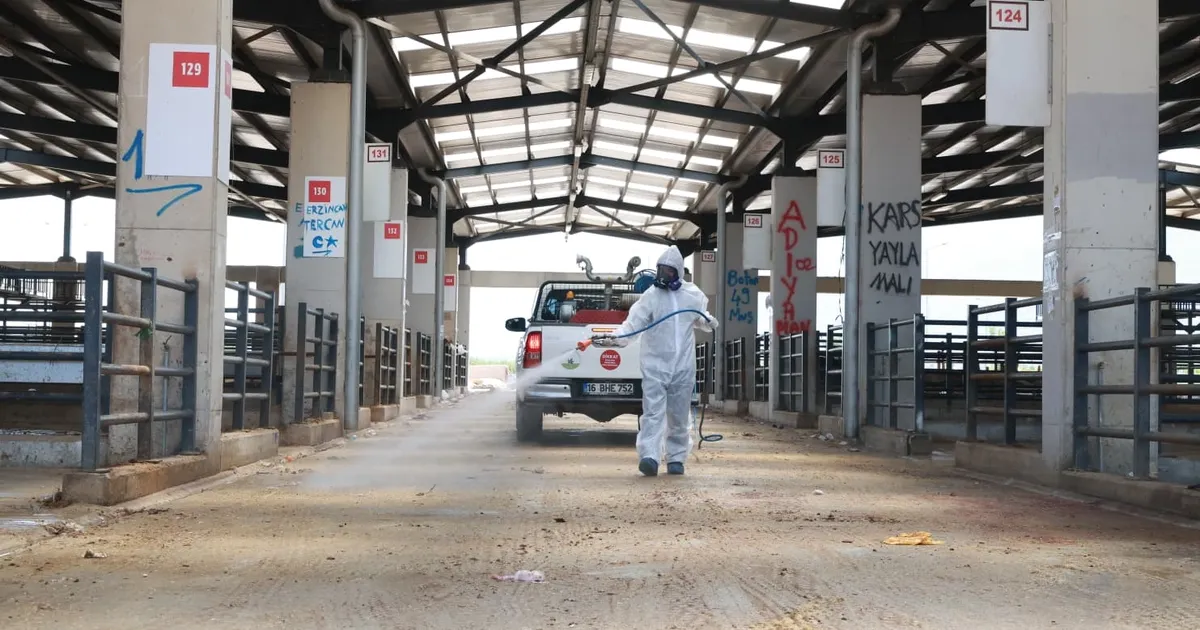 Osmangazi’de kurban pazarları ilaçlanarak dezenfekte edildi