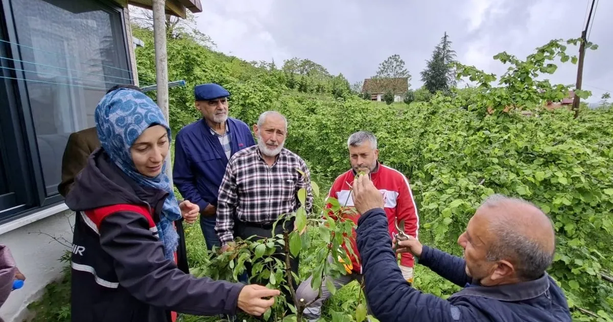 Büyükşehirin aşı 'Ordu'su büyüyor - Gündem Haberleri
