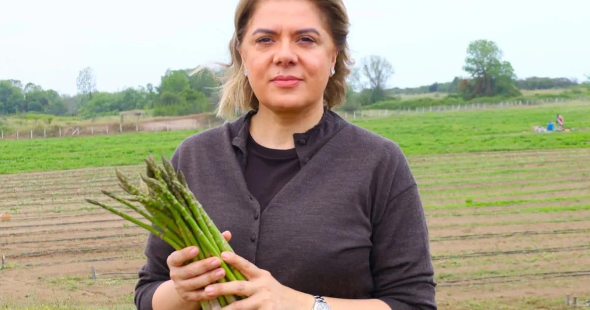 Sakarya'da “Organik Kuşkonmaz” üretimi bakanlık kayıtlarına geçti