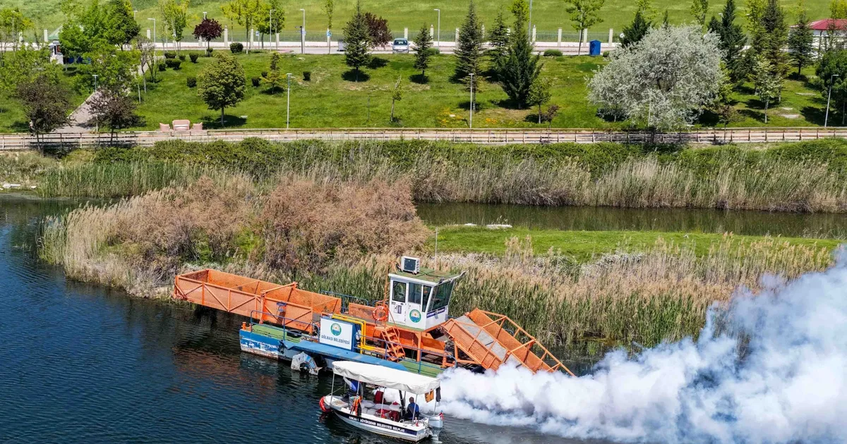 Başkent’te yaz dönemi ilaçlama seferberliği başladı
