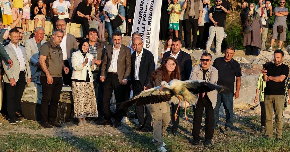 Bursa'da doğayla iç içe bir şenlik... Leylek Şenliği'ne coşkulu start