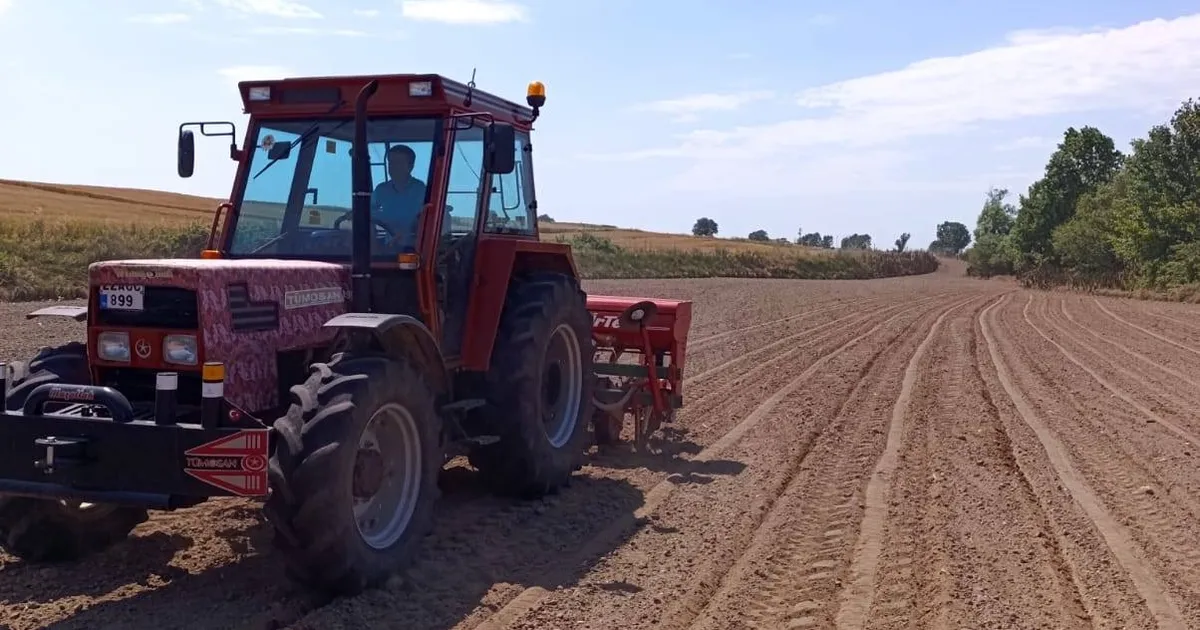 Sultanköy Kavunu'nda yeni sezon
