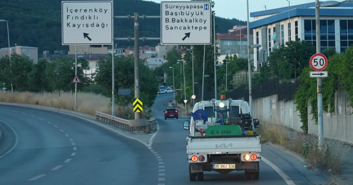 İstanbul Maltepe’de sokak ilaçlamaları sürüyor - Gündem Haberleri
