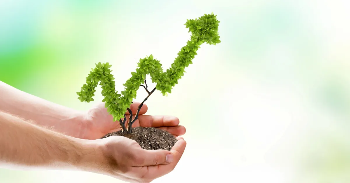 BNP Paribas Cardif Emeklilik’in sürdürülebilirlik odaklı BES Fonu (BSR) 1 yşında