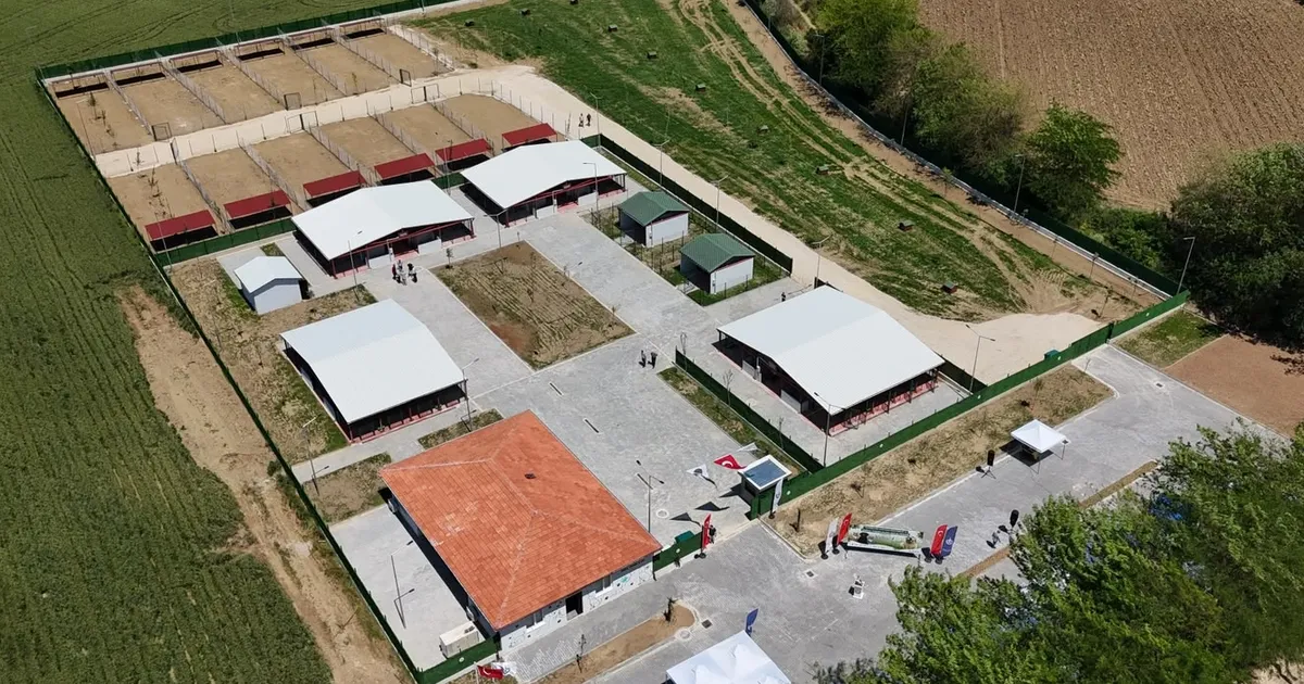Güney Marmara'nın en modern hayvan bakımevi Bursa Yenişehir'de açıldı
