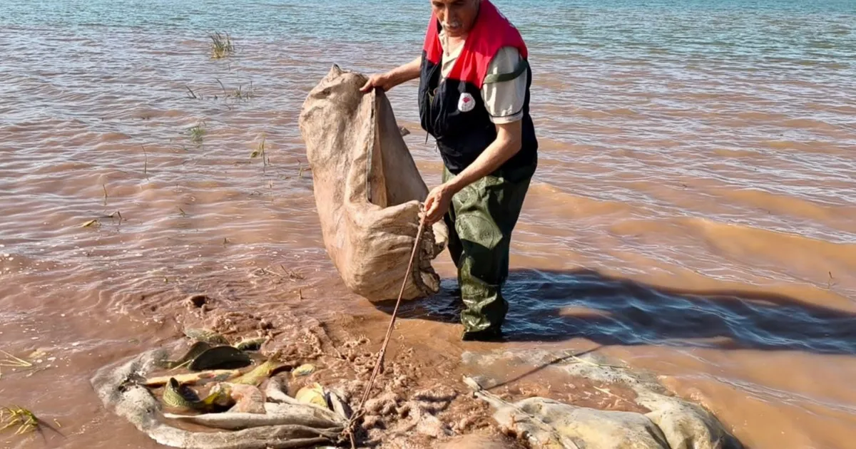 Keban Baraj Gölü’nde 700 kilo canlı sazan kurtarıldı!