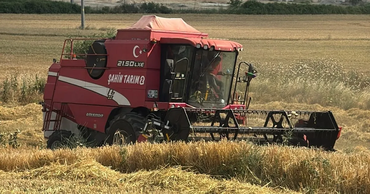 Edirne Keşan'da ilk arpa hasadı... Çiftçi fiyattan dertli