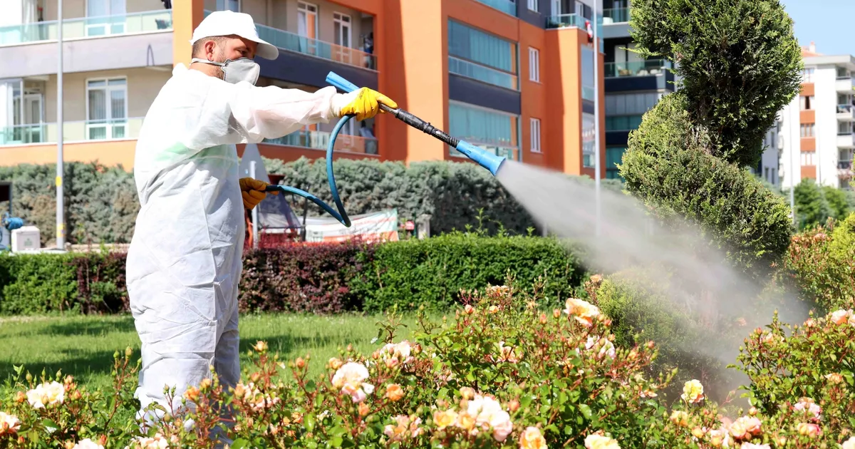 Konya Karatay'da ilaçlama çalışmaları sürüyor