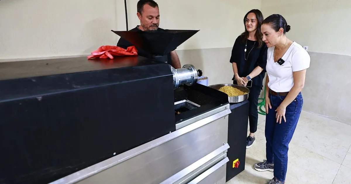 Efes Selçuk’ta atık yemekler mamaya dönüşüyor