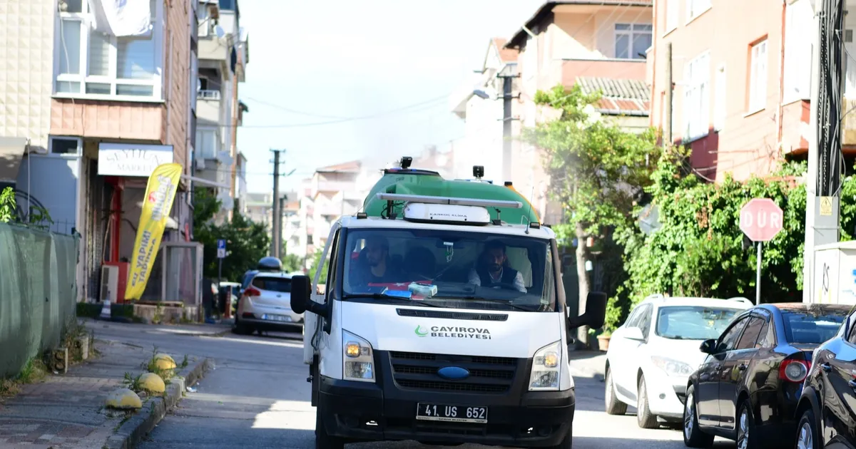Kocaeli Çayırova’da vektörle mücadele sürüyor