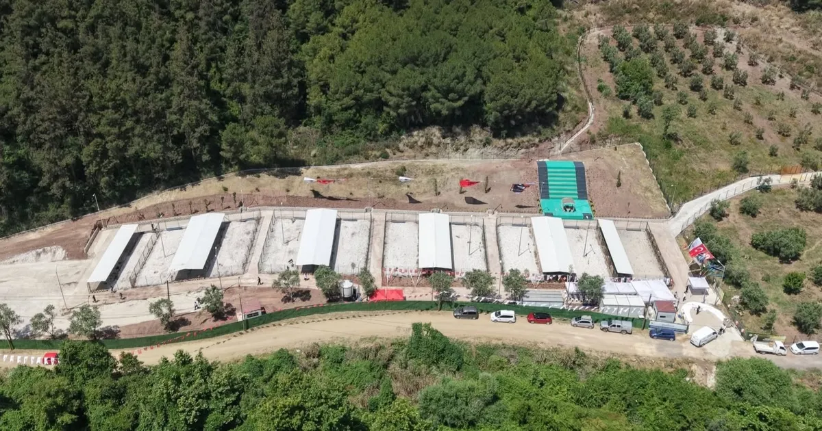 Bursa Gemlik’te sahipsiz hayvanlara modern yaşam alanı