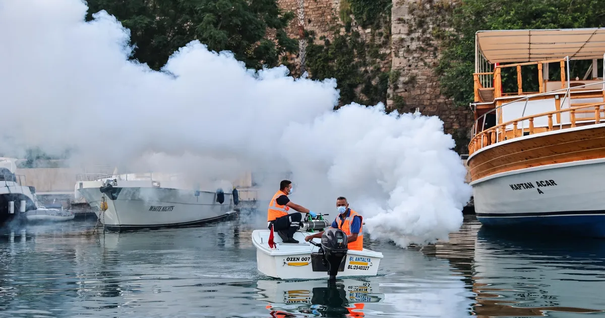 Antalya’da sahil bandında vektörle mücadele