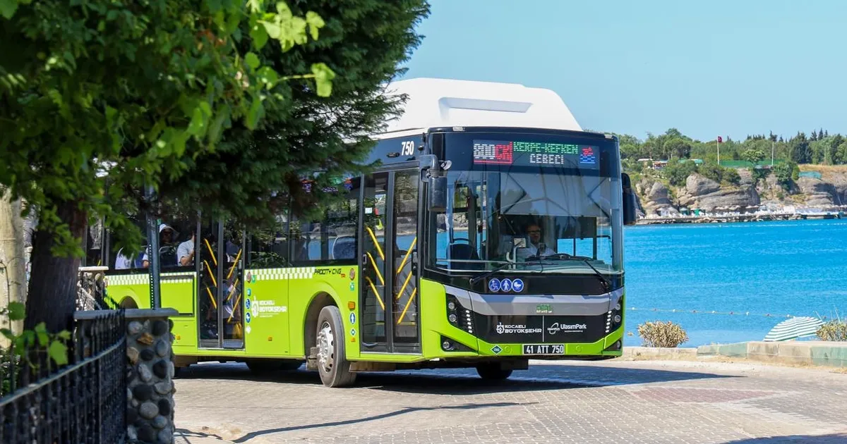 Kocaeli'de 800CK hattı ile tüm yollar Kandıra sahillerine çıkacak - Gündem Haberleri