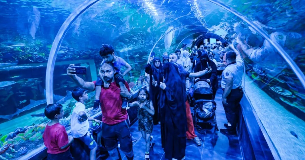 Körfez Aqua Kıtalar Akvaryumu'na yoğun ilgi