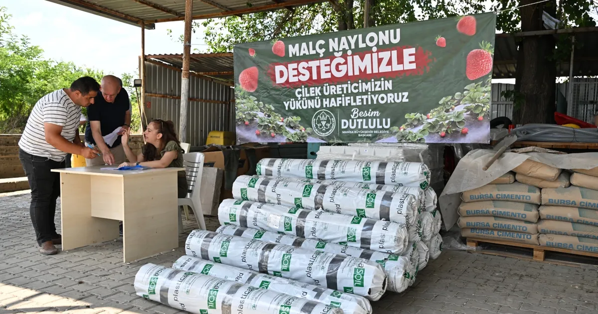Manisa’da çilek üreticisine Büyükşehir’den destek
