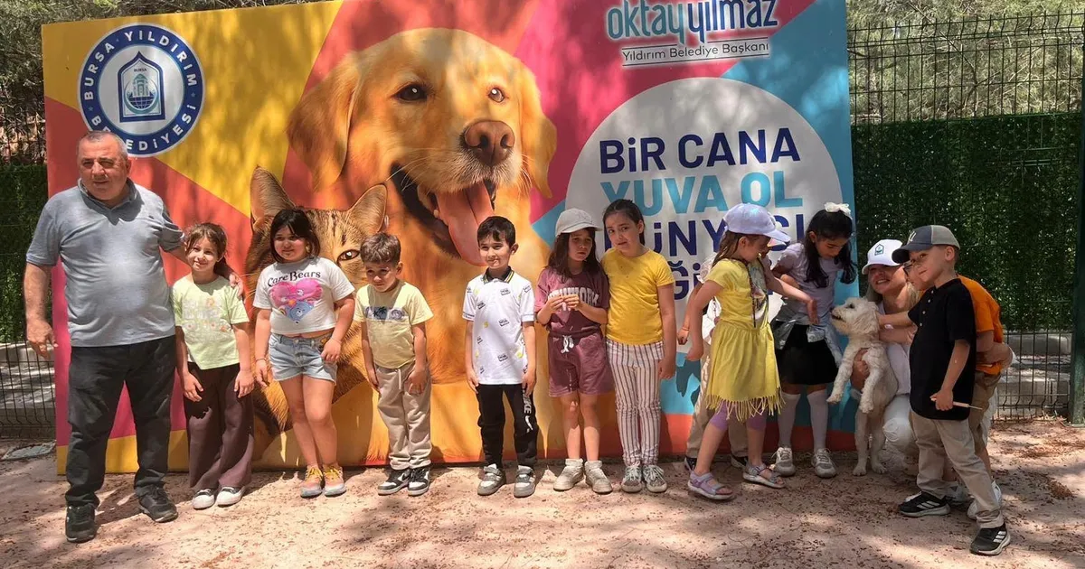 Bursa Yıldırım'da sahisiz sokak hayvanları öğrencileri ağırladı