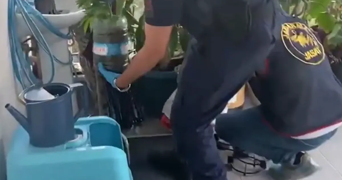 Jandarma’dan 5 ilde uyuşturucuya 341 gözaltı