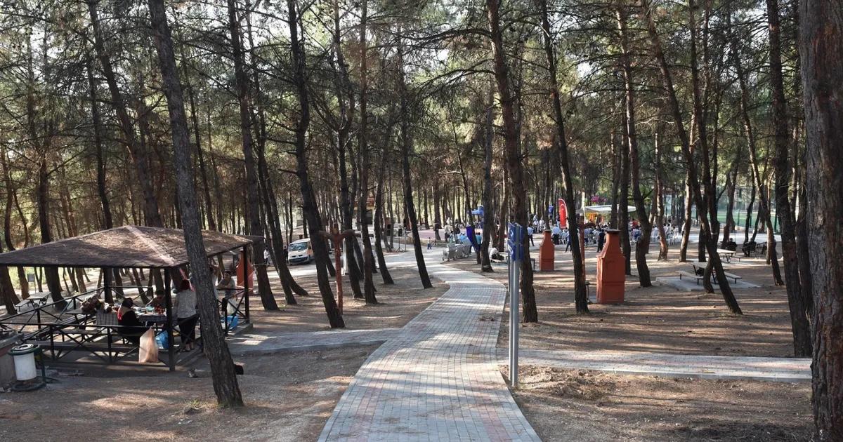 Bursa'da ormanlara giriş yasağı 15 Ekim'e kadar sürecek
