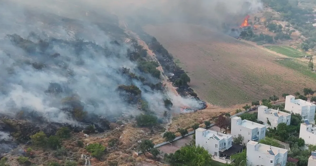 İzmir Dikili’de otluk ve zeytinlik alanda çıkan yangına müdahale sürüyor