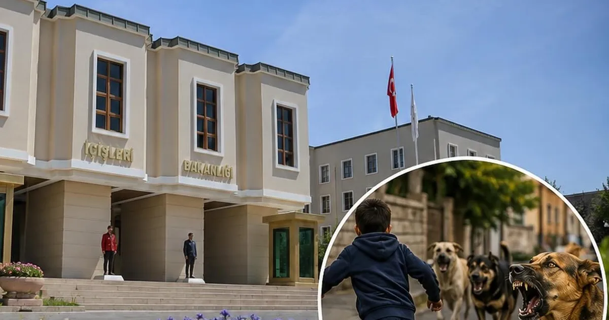 İçişleri'nden köpek saldırıları sonrası 3 belediye başkanı hakkında işlem... Muğla ve Erzurum'a soruşturma, Şanlıurfa'ya ön inceleme