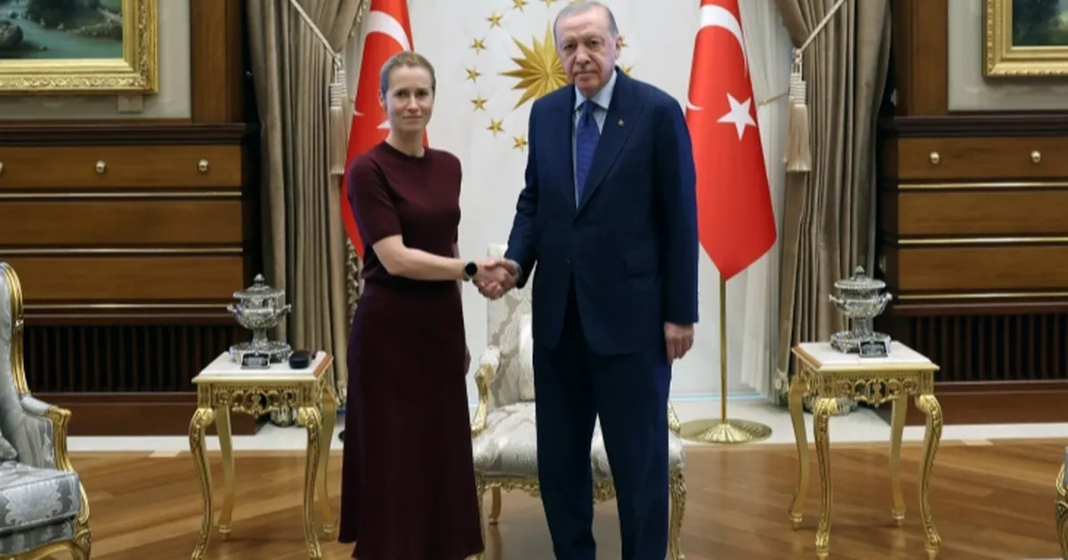 Cumhurbaşkanı Erdoğan, Kallas'ı kabul etti