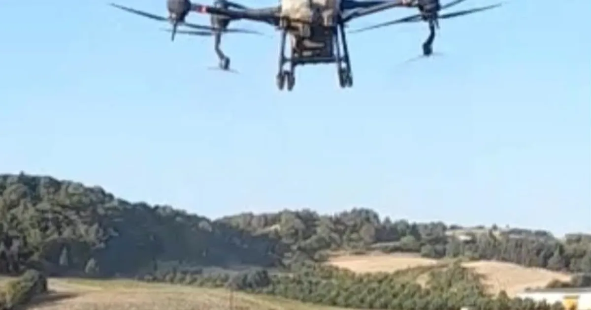 İpsala Ovası’nda kritik dönem