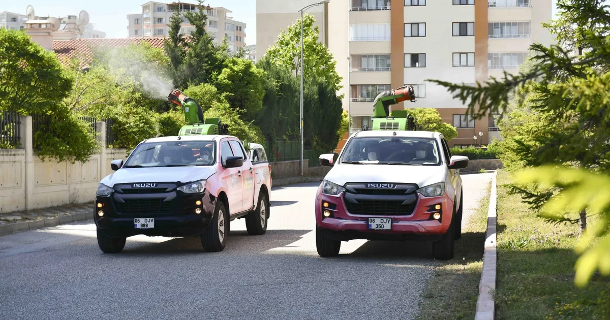 Ankara’da yaz boyu ilaçlama çalışmaları sürüyor