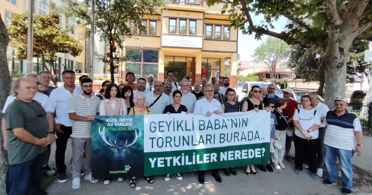 Bursa'da kızıl geyiklerin av ihalesine tepki! Doğa ihale edilemez