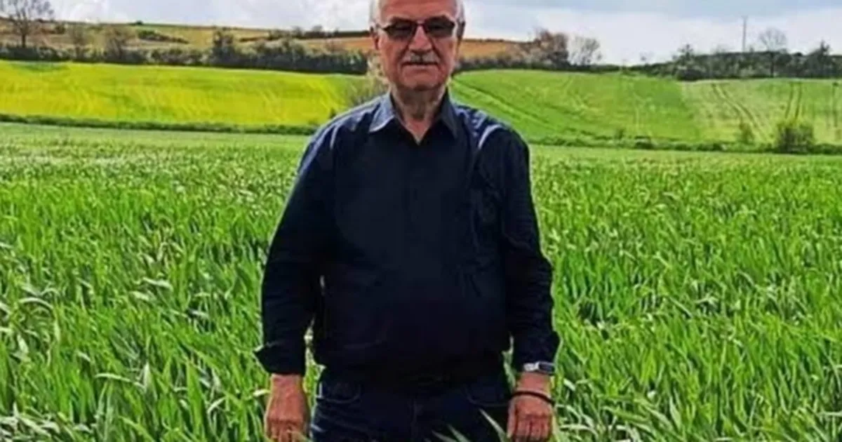 TAR-DER'den hasat dönemi uyarısı - Gündem Haberleri