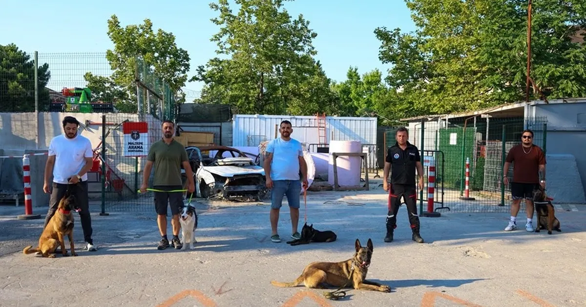 İstanbul Maltepe'de patili kahramanlar afetlere hazırlanıyor - Gündem Haberleri