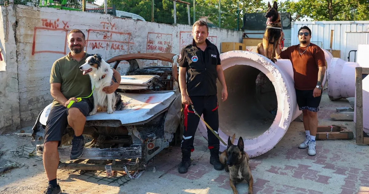 İstanbul Maltepe'de patili kahramanları afetlere hazırlanıyor - Gündem Haberleri