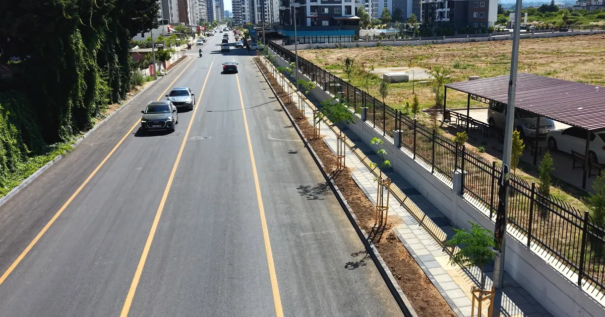 Mersin’de Gazi Paşa Caddesi 420 ağaçla yeşillendi - Gündem Haberleri