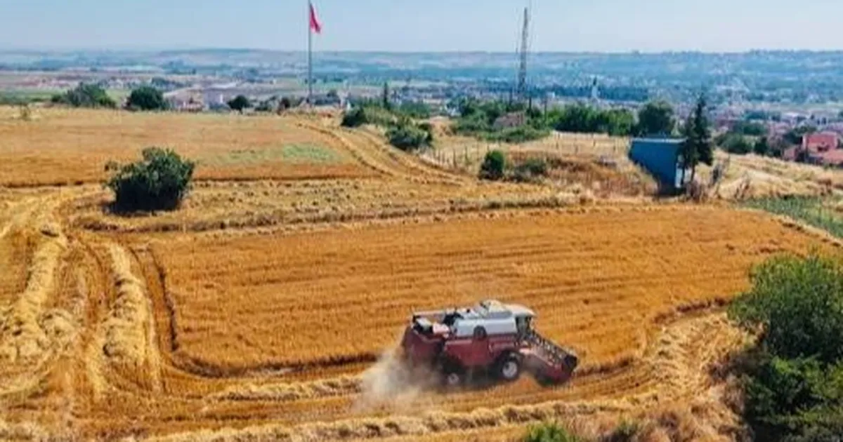 Tarımda baskısı artıyor