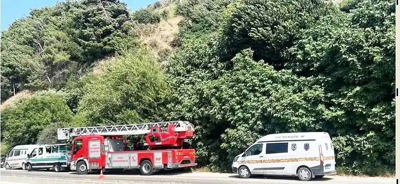 Hatay'da ağaca asılı ceset