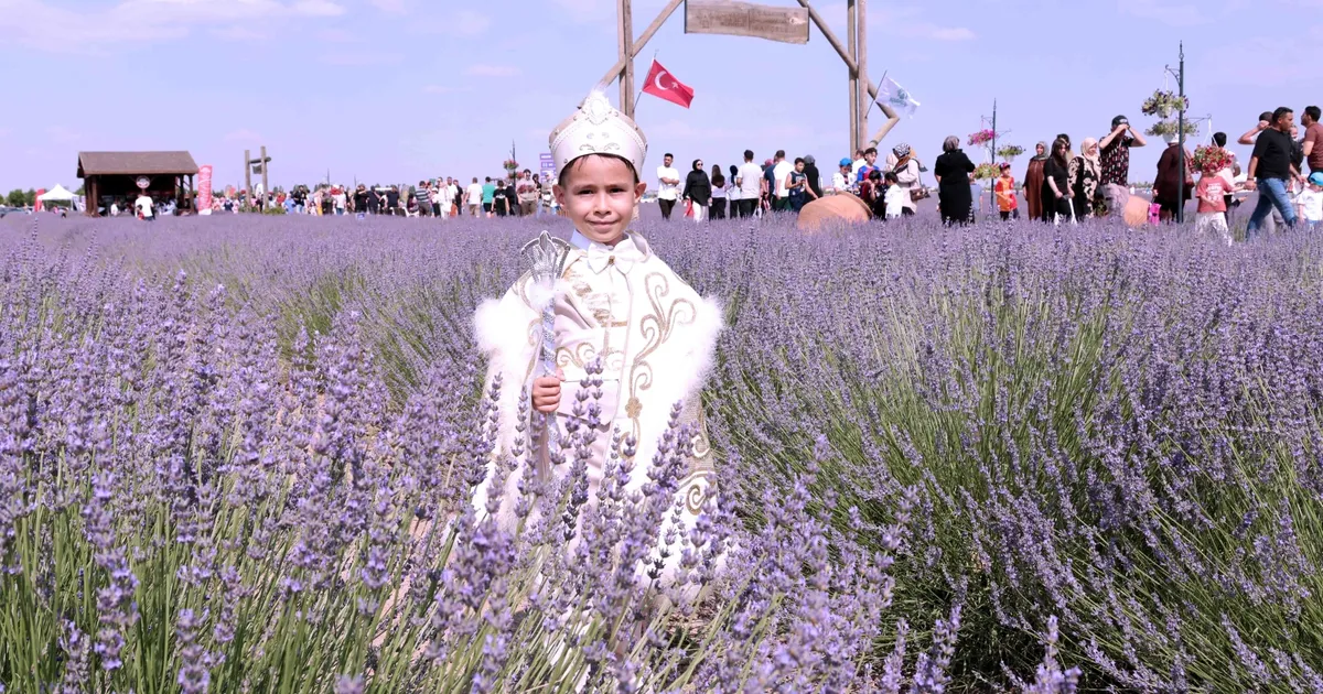 Konya Karatay'da Lavanta Bahçesi'nde festival hazırlığı