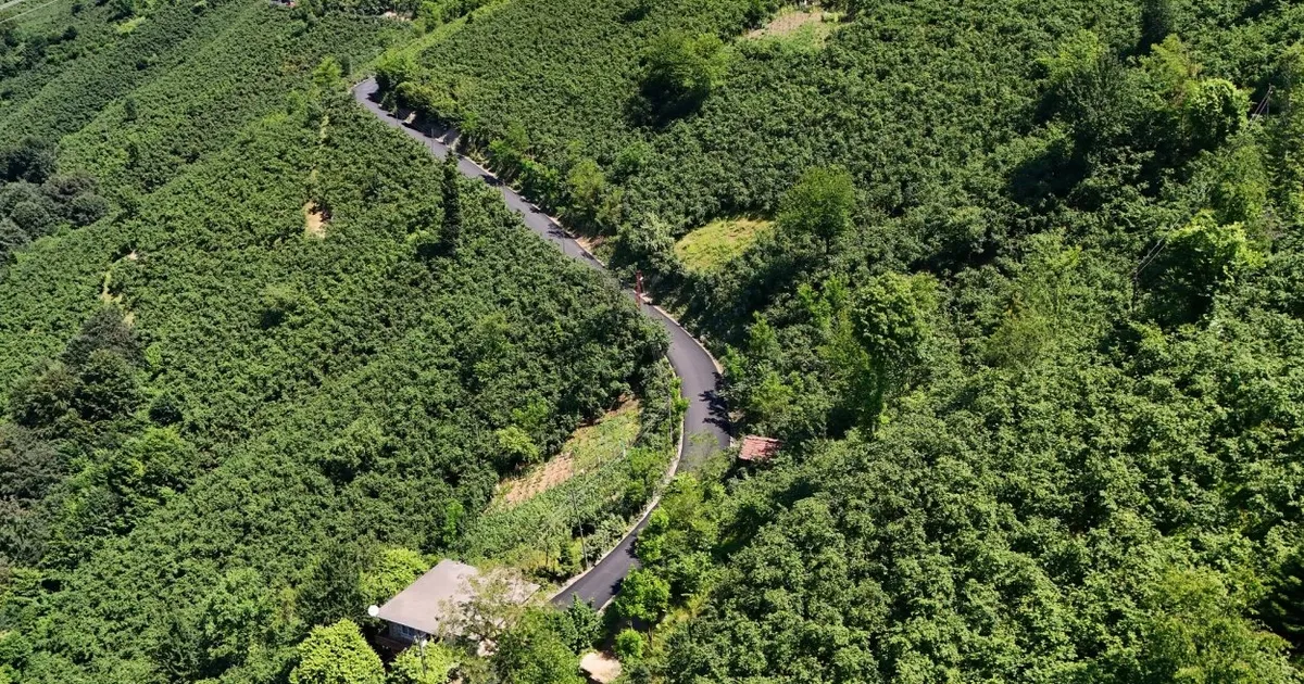 Ordu'da 3,5 kilometrelik asfalt tamamlandı