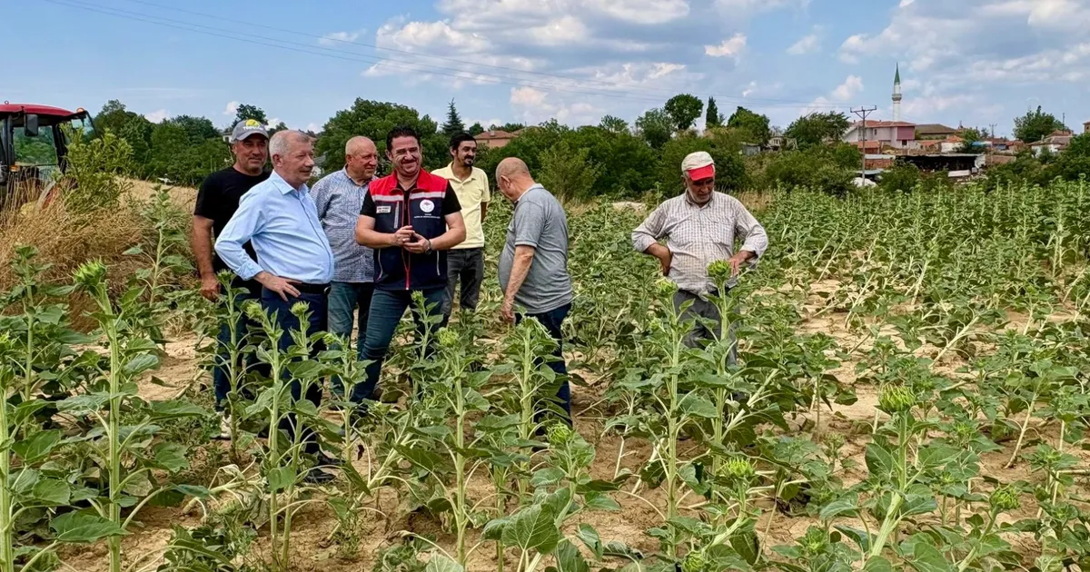 Edirne Keşan’da fırtına sonrası hasar tespiti başladı