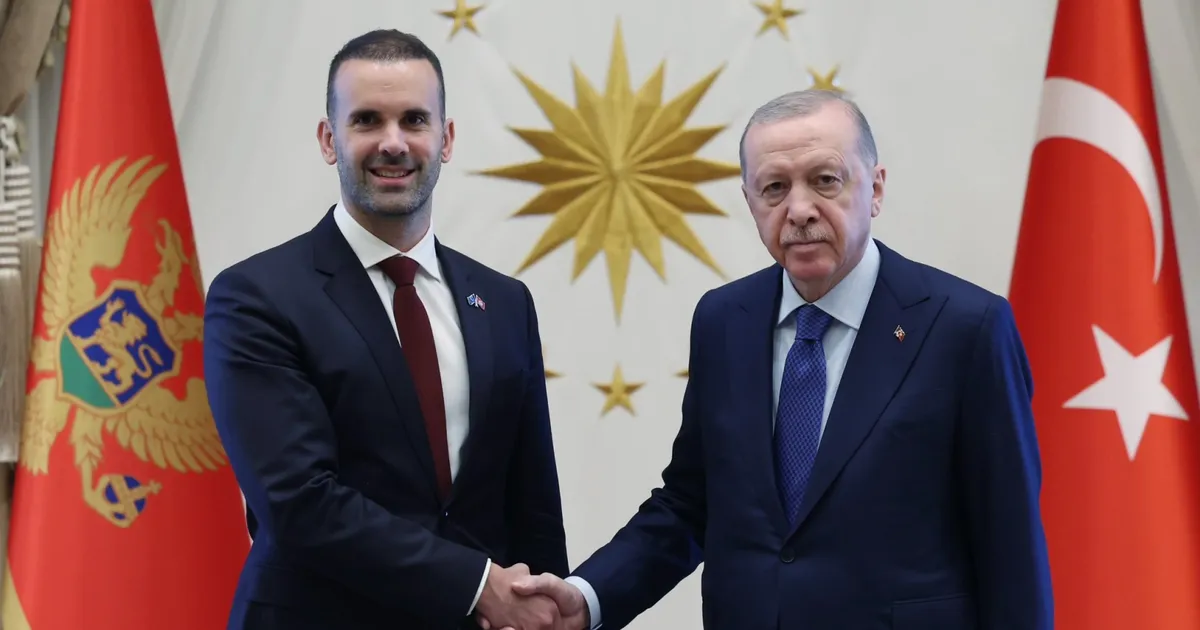 Erdoğan, Karadağ Başbakanı Spajiç’i kabul etti... Türkiye-Karadağ ilişkileri ele alındı