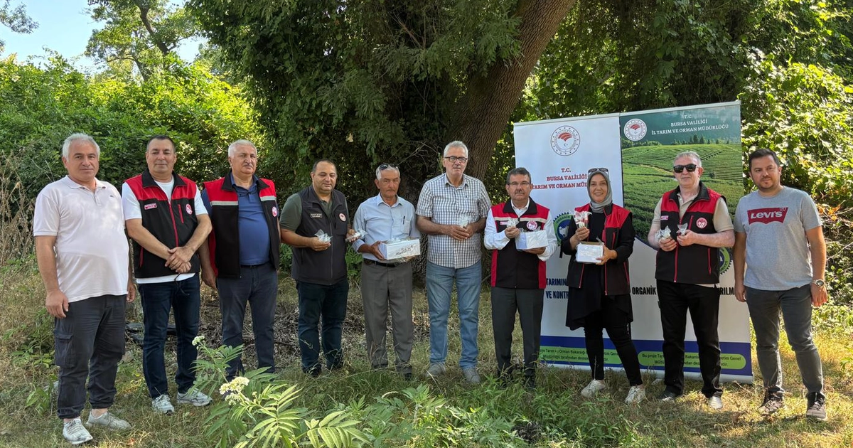 Bursa'da 5 bin Samuray Arısı doğaya salındı