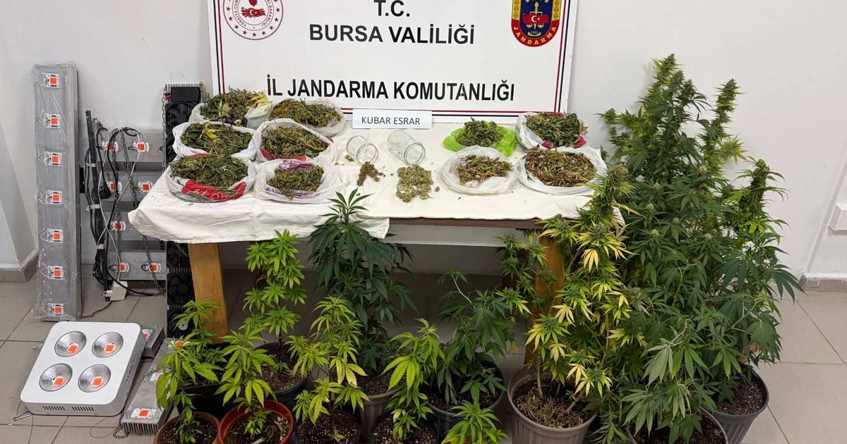 Bursa İnegöl’de kenevir ve yüklü miktarda esrar ele geçirildi