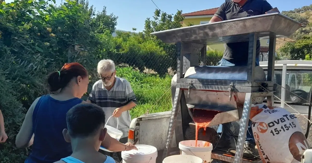 İzmir Efes Selçuk'ta kışlık domates hazırlığı - Ekonomi Haberleri