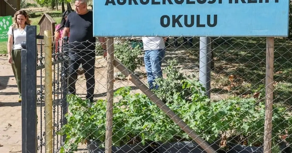 Diyarbakır'da Tıbbi Aromatik Bitki Üretim ve İşleme Tesisi - Gündem Haberleri