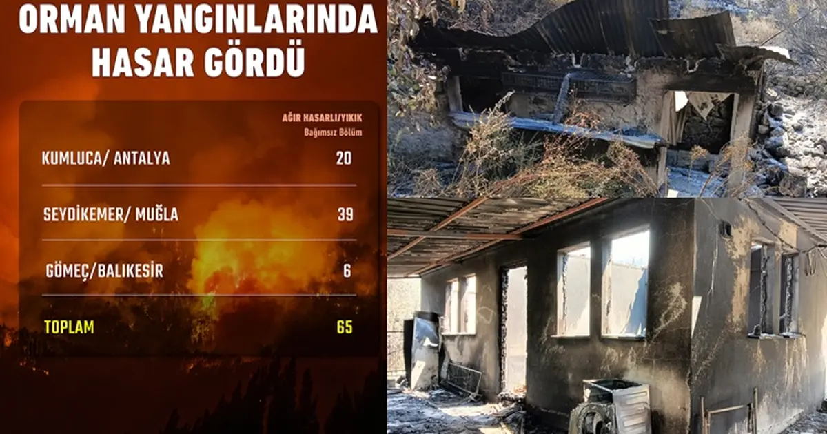 Son orman yangınlarında hasar ne kadar?