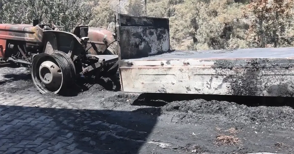 Muğla Büyükşehir'den Seydikemer’de yangın sonrası hasar tespit