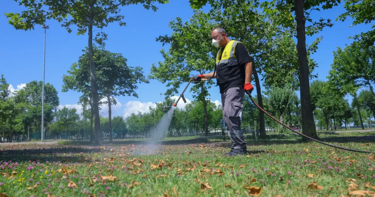 Samsun'da sivrisineklere karşı etkin mücadele