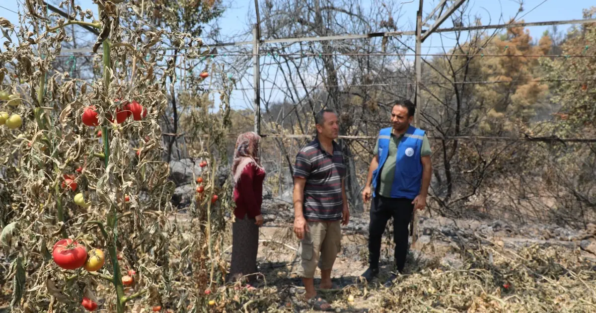 Muğla Seydikemer'de yangın sonrası seferberlik