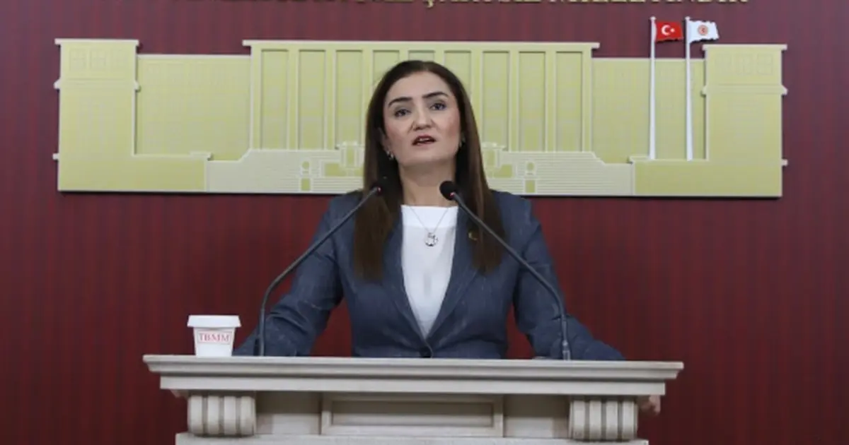 CHP Grup Başkanvekili Kılıç’tan 'silahsızlanma' vurgusu