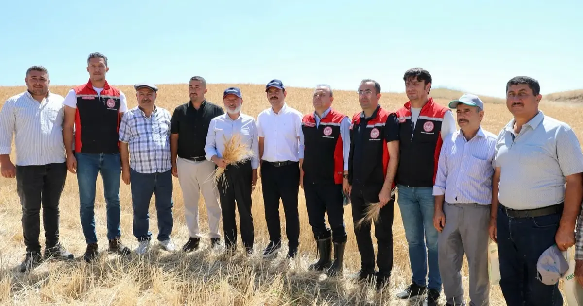 Kayseri Kocasinan'da tarım buluşması hasatla açıldı